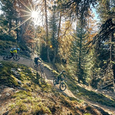 Der Zirbentrail und der Flüstertrail in der Bike Region Serfaus Fiss Ladis in Tirol Österreich | © christianwaldegger.com