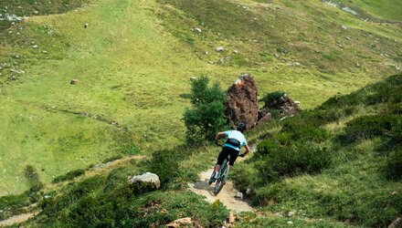 Biker rides a steep, narrow path downhill in greenery.