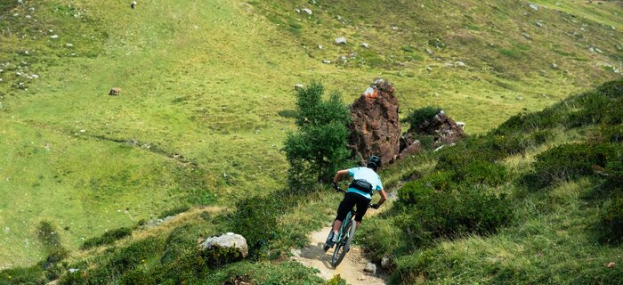 Biker rides a steep, narrow path downhill in greenery.