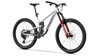 Stylisches Mountainbike mit hochwertiger Ausstattung in grauem und rotem Design.
