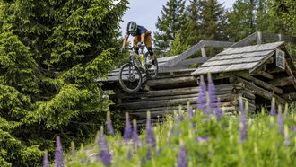 Ein Mountainbiker springt über ein Holzgestell in der Natur.