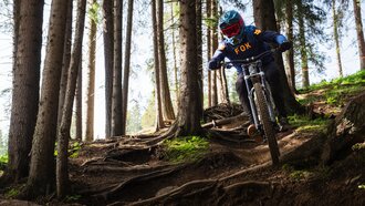 A mountain biker rides a forest trail with roots and elevation.