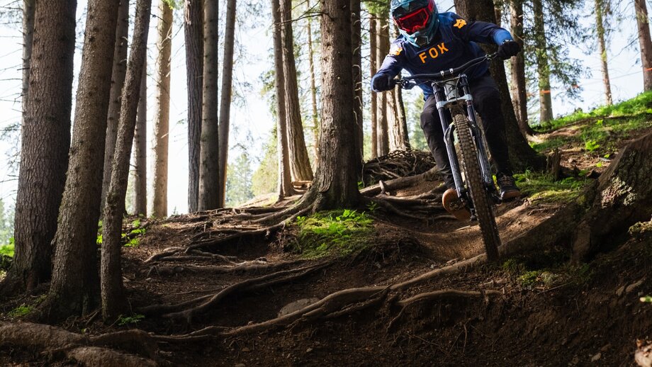 Rooty trail | © © Serfaus-Fiss-Ladis Marketing GmbH