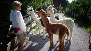 Wanderung | © alpkahofserfaus.com