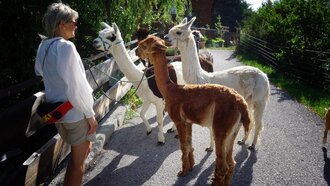 Wanderung | © alpkahofserfaus.com