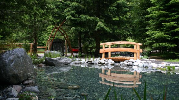 Pond