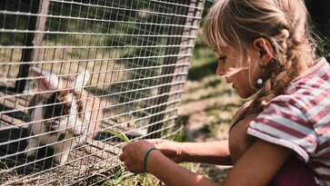 Petting zoo
