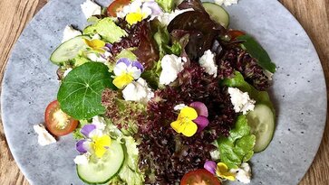 Salad